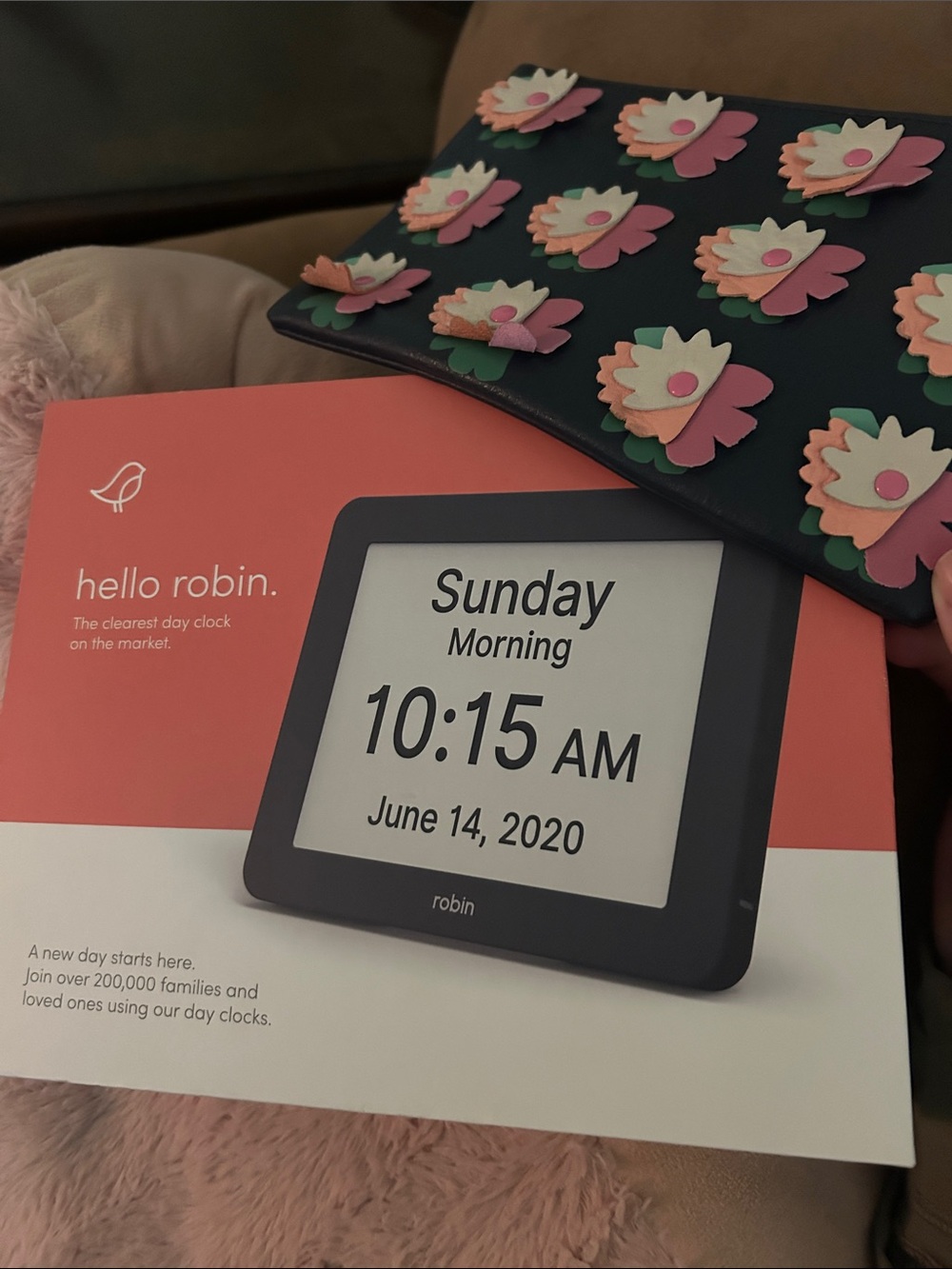 Hello Robin Day Clock